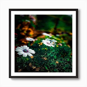 Daisies In The Garden Art Print