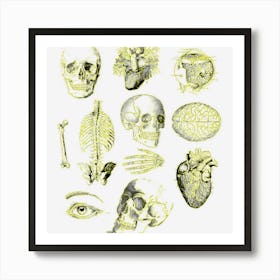 Vintage Anatomy For Medical Student Retro Halloween Skull Art Print