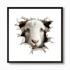 Goat Looking Through A Hole Art Print