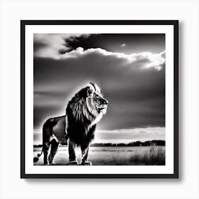 Lion In The Grass Art Print