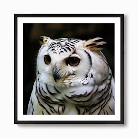 White Tiger Owl  2 Art Print