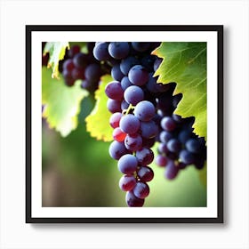 Grapes On The Vine 38 Art Print