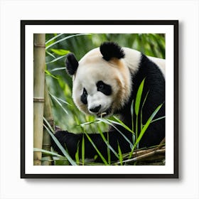 Panda Bear Eating Bamboo Art Print