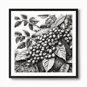 Coffee Beans 213 Art Print