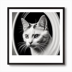 Cat In A Round Frame Art Print