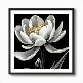 White Peony Art Print