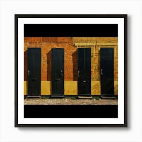 Black Doors Art Print