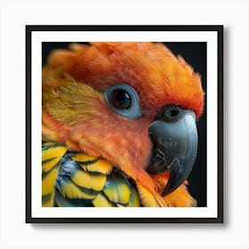 Portrait Of A Parrot 3 Art Print