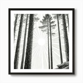 Sun Rising Over The Pines Art Print