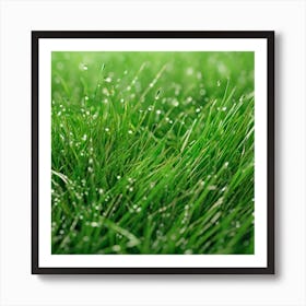 Green Grass 30 Art Print