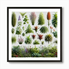 A Plethra of Pictures of Plants, Potted and Otherwise, Including Flowers, Grasses, and Trees, All Rendered with Exquisite Detail and Lifelike Color Art Print