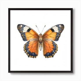 Butterfly 28 Art Print