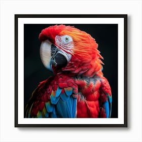 Macaw Parrot 1 Art Print