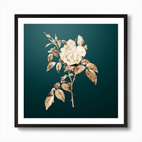 Gold Botanical Fragrant Rosebush on Dark Teal n.4202 Art Print