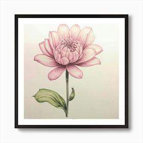 Chrysanthemum 1 Art Print