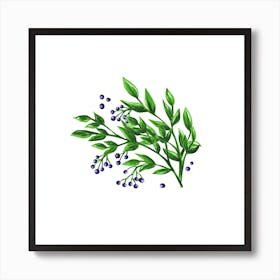 Branches And Berries Art Print