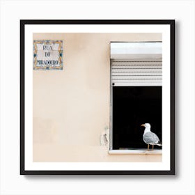 The Seagull In The Window Porto Portugal Square Art Print