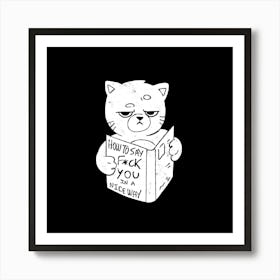 Nice Way to Say - Funny Grumpy Sarcasm Cat Gift 1 Art Print