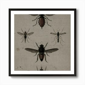 Flies Art Print