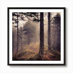 Foggy Forest 1 Art Print