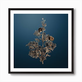 Gold Botanical Mediterranean Cypress on Dusk Blue n.3332 Art Print