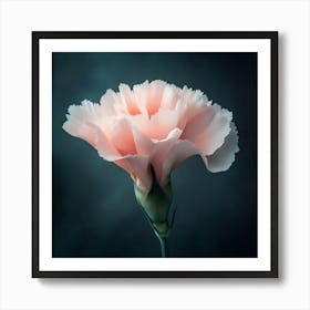 Pink Carnation Art Print