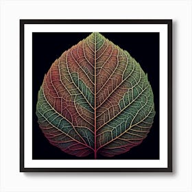 Leaf Of Life Art Print