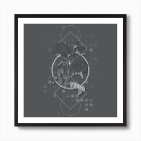 Vintage White Rose Botanical with Line Motif and Dot Pattern in Ghost Gray n.0402 Art Print