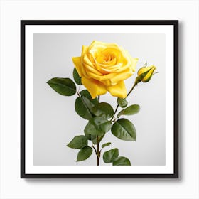 Yellow Rose 1 Póster