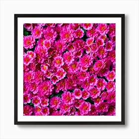 Pink Flowers 1 Art Print