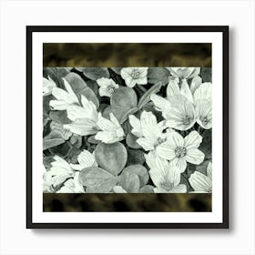 white flowers, leaves, in the bush Art Print