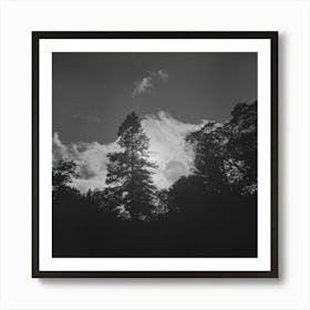 Untitled Photo, Possibly Related To Shasta County, California,Trees And Clouds By Russell Lee Art Print