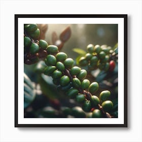 Green Coffee Beans 1 Poster