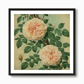 Victorian Roses Art Print