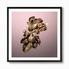 Gold Botanical Fig on Rose Quartz Art Print