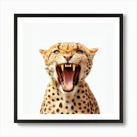 Cheetah 3 Art Print