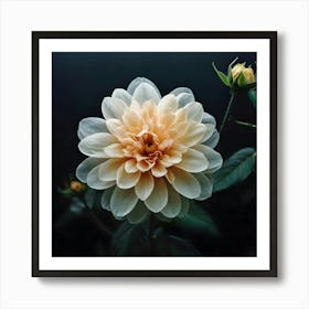 Dahlia 6 Art Print