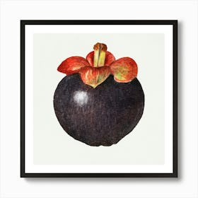 Guava Fruit 1 Art Print