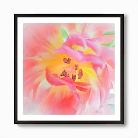 Pink Tulip Macro 1 Art Print