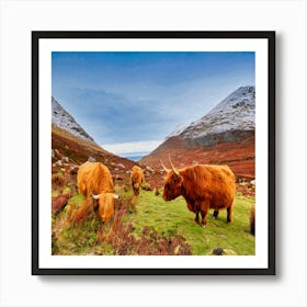 Highland Cows 3 Art Print