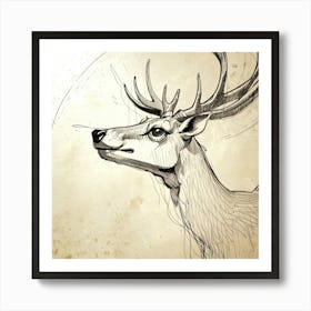 Deer Head 24 Art Print