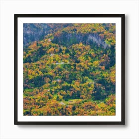 Fall Foliage In The Mountains Art Print