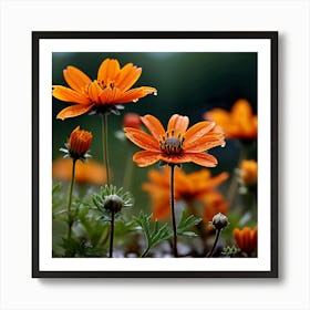 Landscape Beautiful Vibrant Wild Flowers Art Print