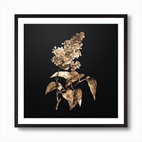 Gold Botanical Common Pink Lilac Plant on Wrought Iron Black n.4833 Art Print