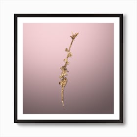 Gold Botanical Peach Flower on Rose Quartz n.3894 Art Print