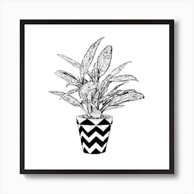 Chinese Evergreen Square Art Print