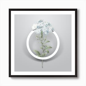 Vintage Plumbago Caerulea Minimalist Botanical Geometric Circle on Soft Gray n.0090 Art Print