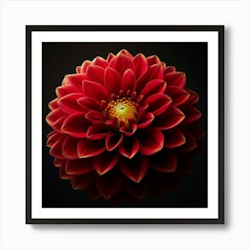 Dahlia 1 Art Print