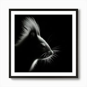 Black And White Portrait Of A Squirrel Affiche