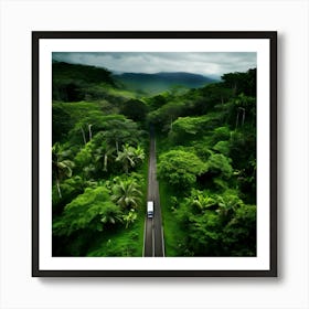 Aerial Road In The Rain Forest Art Print